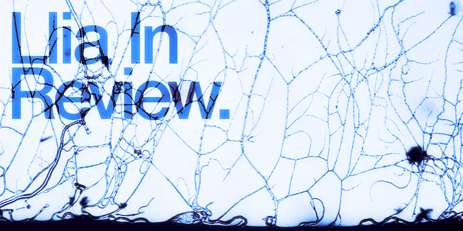 Feature image for 'LLIA IN REVIEW 2025'